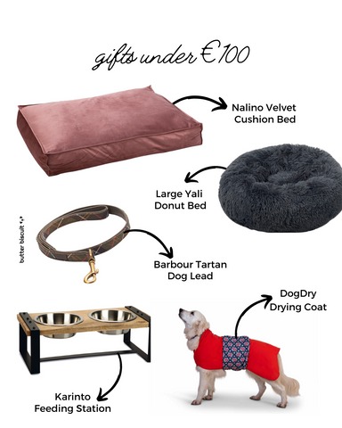 Christmas Holiday Gifts for dogs under €100 