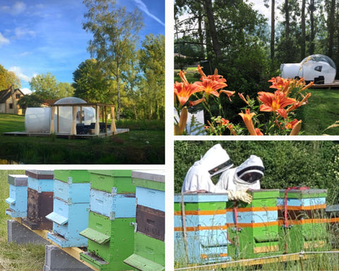 Bulle située dans un domaine d'apiculture avec des ruches et des champs. Des apiculteurs récoltent du miel.