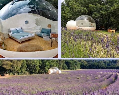 Bulle située dans un champs de lavande violet, à coté d'Aix en Provence. Un lit avec des draps bleux, un petit canapé bleu pastel.