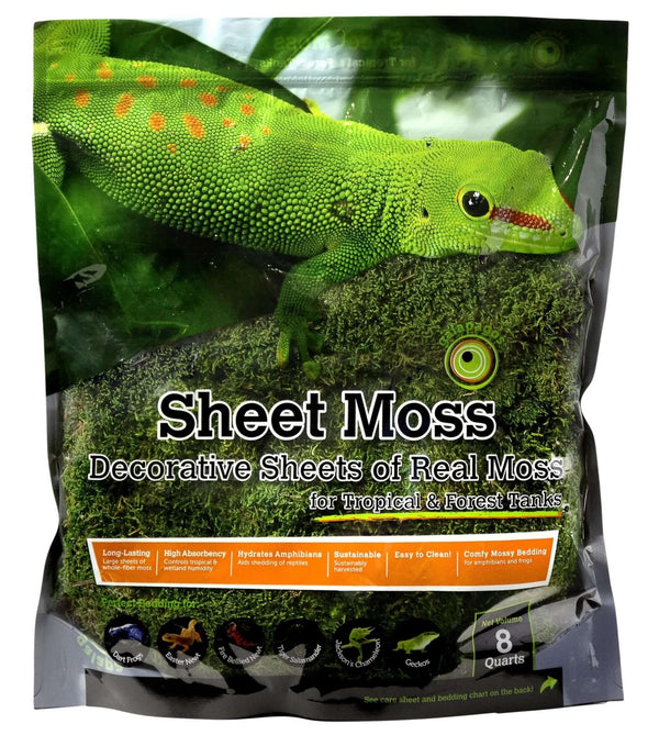 Galapagos Royal Pillow Moss for Tropical Forest Tanks 