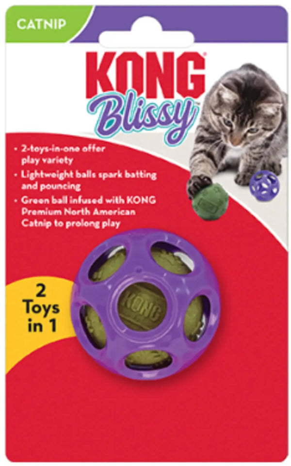 KONG Blissy Mesh Ball w/Catnip, Teal, Small