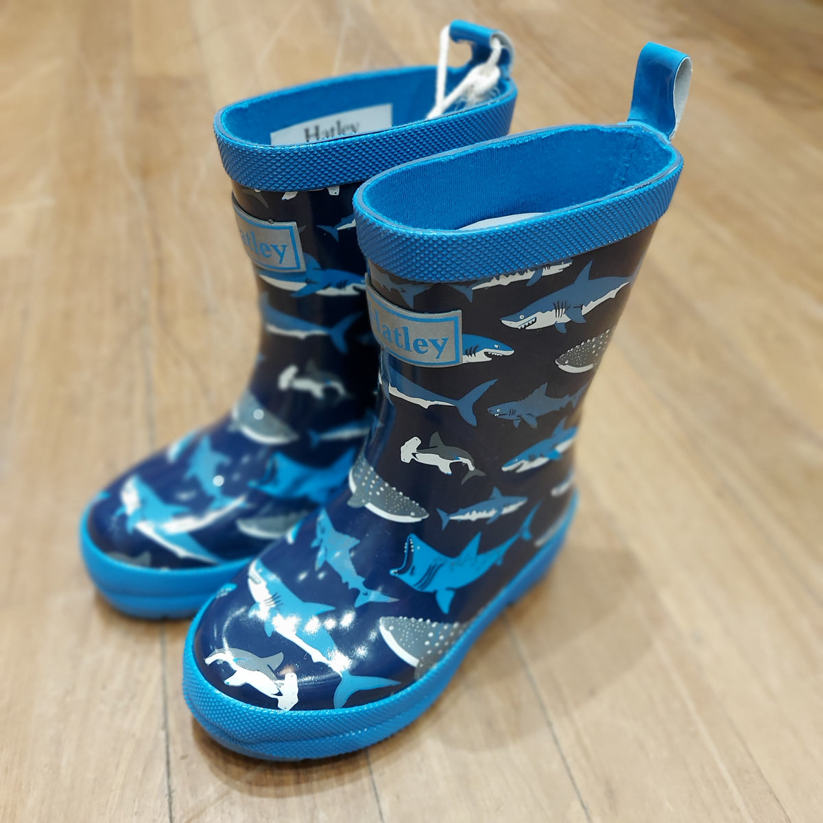 Hatley Shark School Rain Boots *| Funky Monkey Chickadee