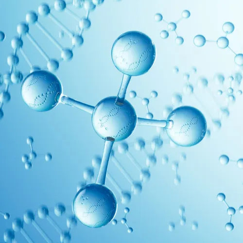 Ceramides Complex