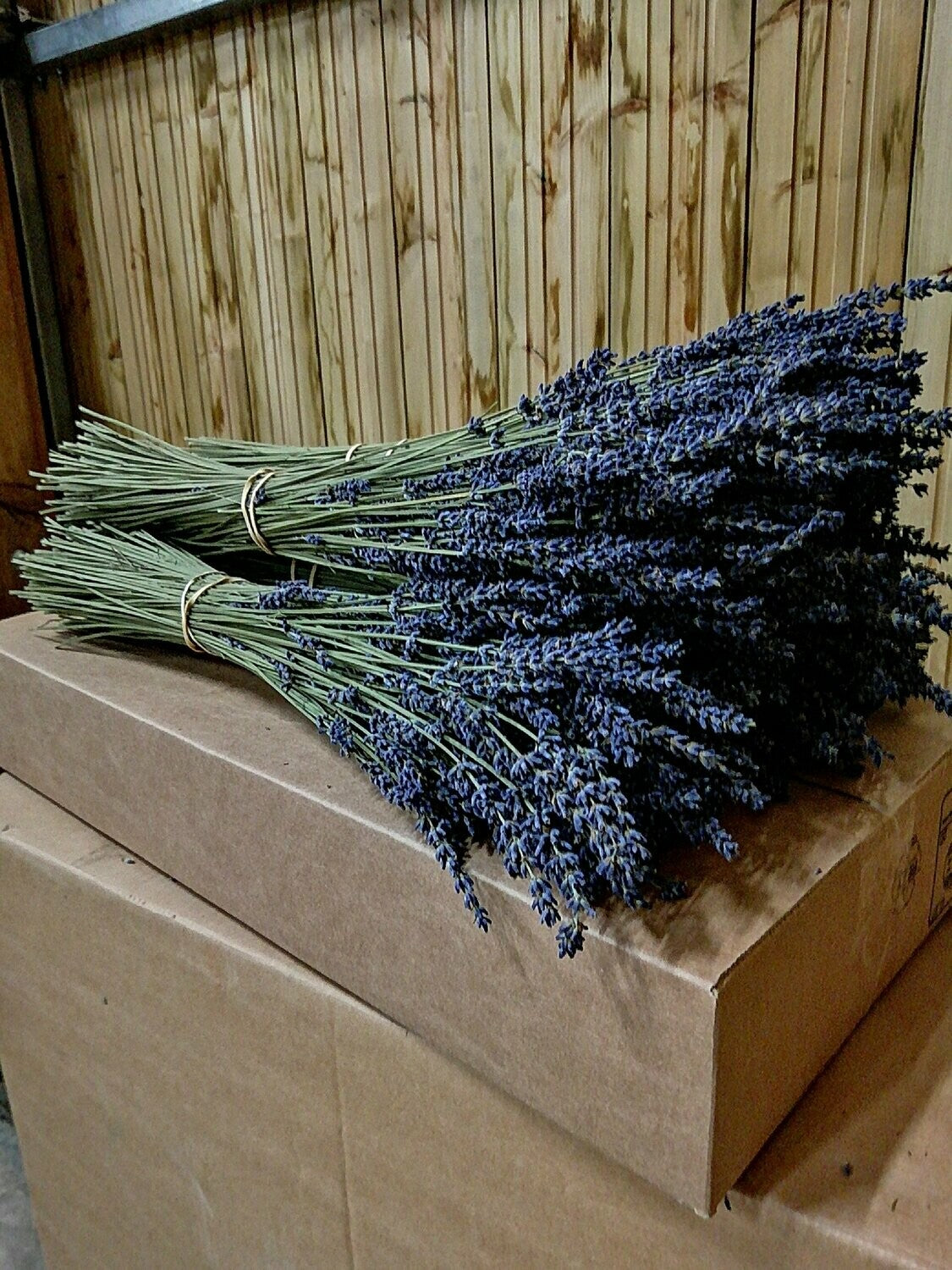 Bouquet de lavande séché – Petite Provence