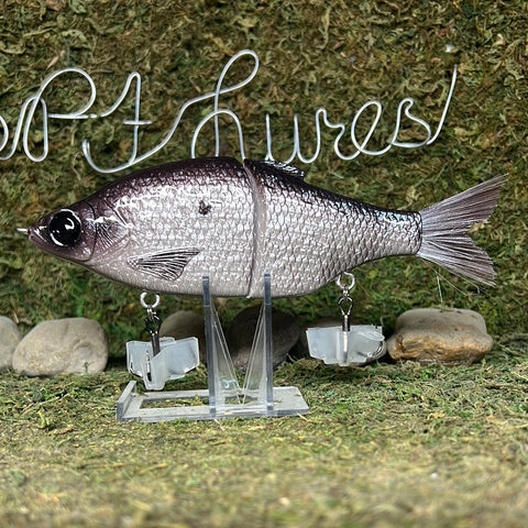 Airbrush Painting SHAD Squarebill Crankbait