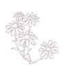 Ello Botanicals Facial Oils are made from natural plant extracts including German Chamomile Oil