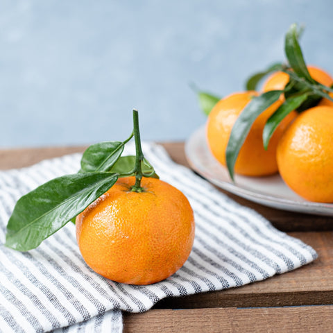 Discover the Versatility of Orange Essential Oil