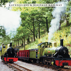 Ravenglass & Eskdale Railway coaster