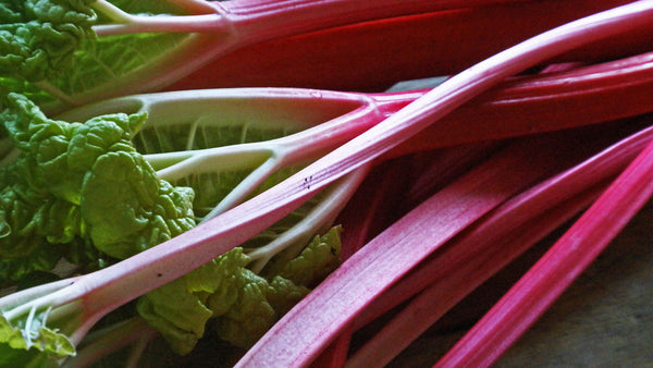 Forced Rhubarb © Amanda Slater (https://www.flickr.com/photos/pikerslanefarm/4752796680)1