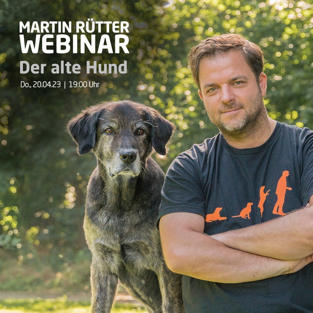 Webinar Ticket / Martin Rütter Live - Webinar Alte HunDe 1080x1080 CD9312be 4537 4811 8D3c 374873bf0ffe 1024x1024