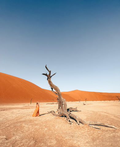 Deadvlei im Nationalpark Soussevlei Namibia