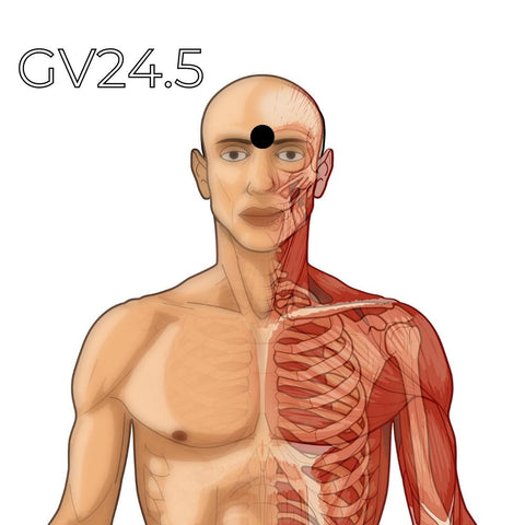 GV 24.5 Point de pression du « Troisième Oeil » (Yin tang)