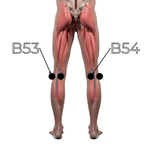 B53 and B54 – Points d’acupression des genoux