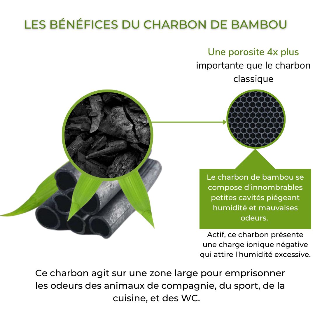 Charbon de bambou pour une meilleure hygiène