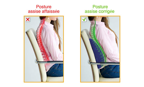 Les coussins de soutien lombaire et cervical