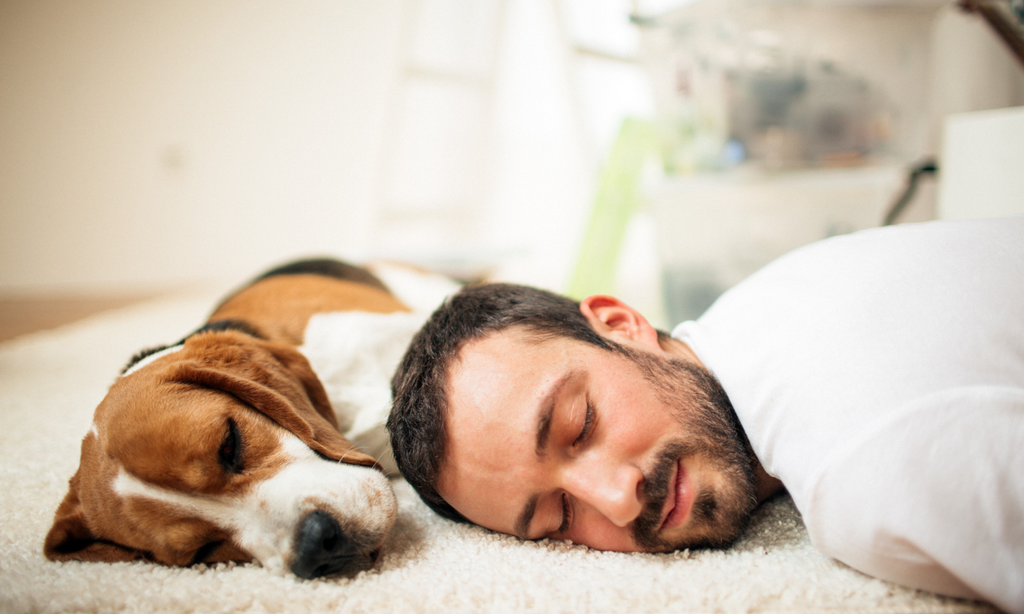 Sieste réparatrice : nos conseils pour la réussir