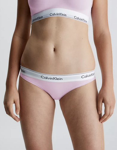 Calvin Klein  High Waisted Cotton Brief – Prettylovelylingerie