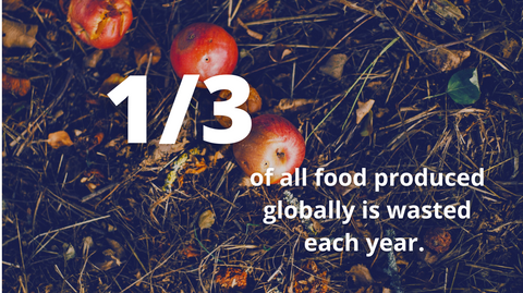 1/3 of all food produced globally is wasted each year