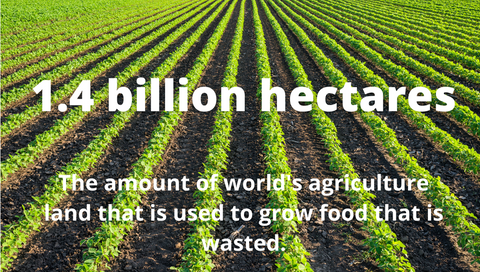 1.4 billion hectares of world's agriculture land used to grow food that is wasted