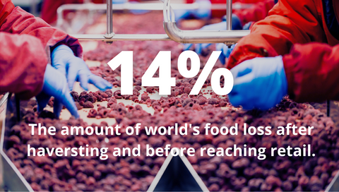14% of world's food is loss after harvesting and before reaching retail through on-farm activities, storage and transportation