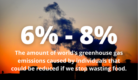 6% - 8% the amount of world's greenhouse gas emissions caused by individuals that could be reduced if we stop wasting food 