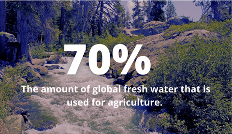 70% of global fresh waster is used for agriculture