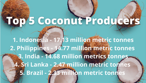 Top 5 coconut producers in the world 