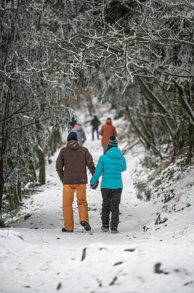 family walk during winter