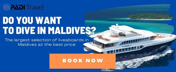 liveaboards maldives