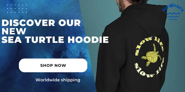 Sea turtle hoodie