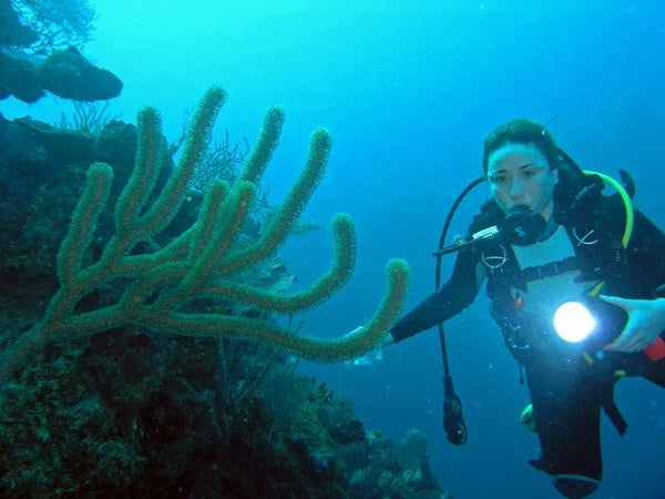 buceo sin máscara