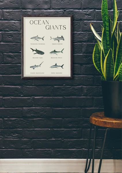Ocean Giants Shark Poster