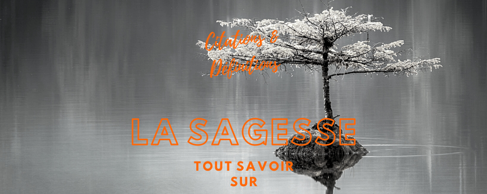 La Sagesse Citations Definitions Philosophie Arbre Life