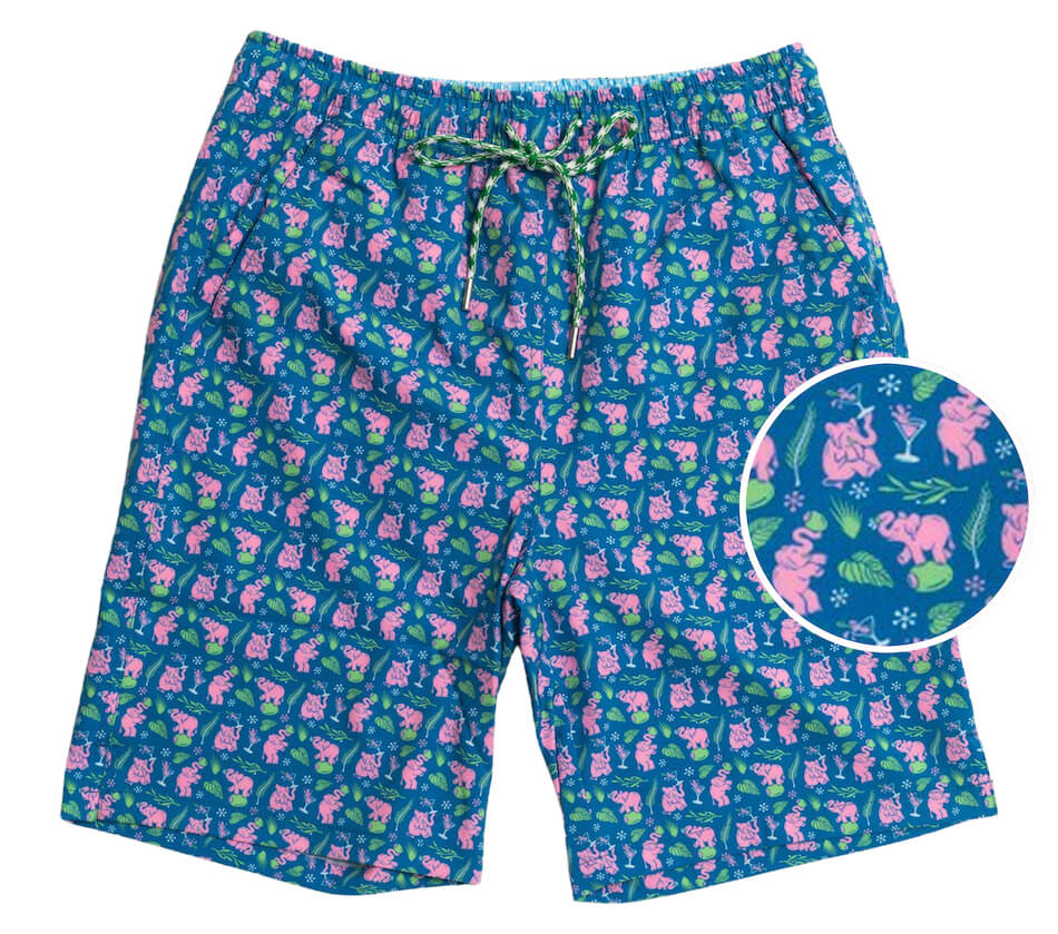 Swim Trunks in Watercolor Fish – Doodlebug's & Grow Children's Boutique