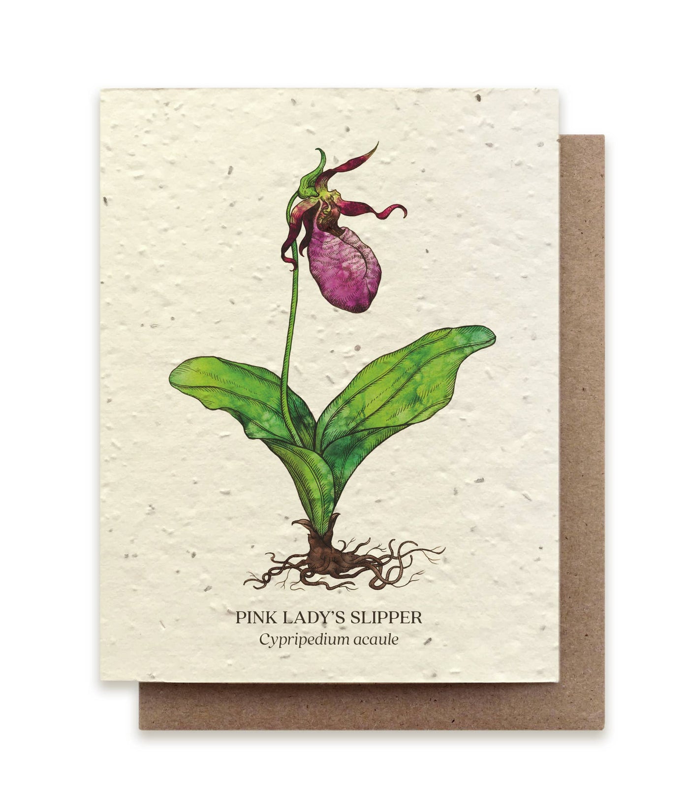Lady Slipper Botanical Greeting Cards - Plantable Seed Paper