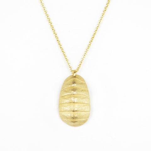 Chiton Shell Pendant Necklace Golden Bronze