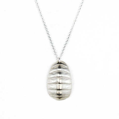 Chiton Shell Pendant Necklace Silver