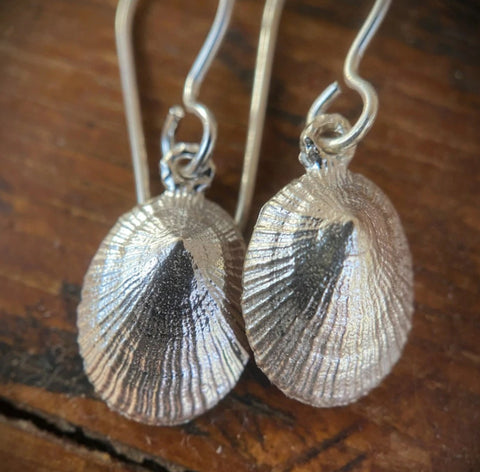 limpet shell nature jewelry earrings
