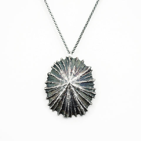limpet shell nature jewelry pendant necklace
