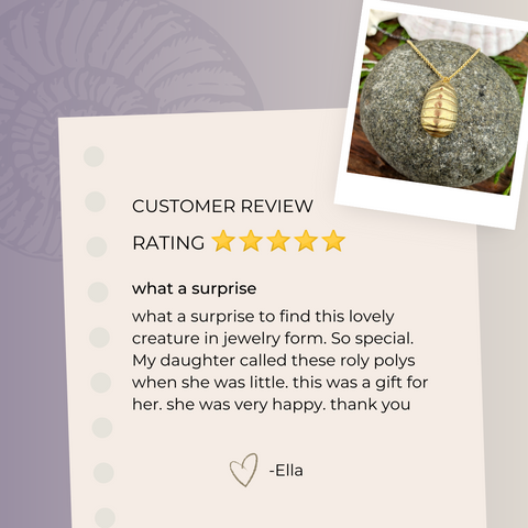 Chiton Shell Pendant Necklace Customer Review