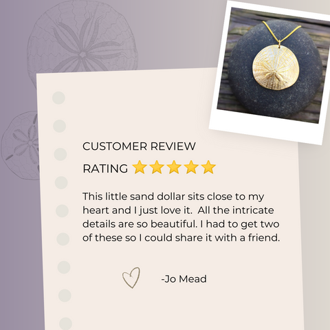 sand dollar nature jewelry review