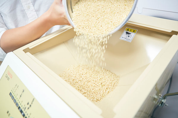 Rice as the Foundation of Japanese Diets
