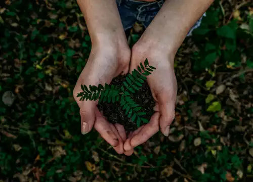 1 sérum acheté égale 1 arbre planté