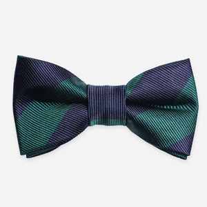 Repp Stripe Hunter Boys Bow Tie