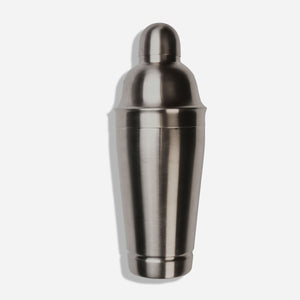 Stainless Steel Silver Shaker