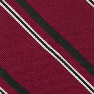 Alma Mater Heritage Stripe Cardinal Tie alternated image 3