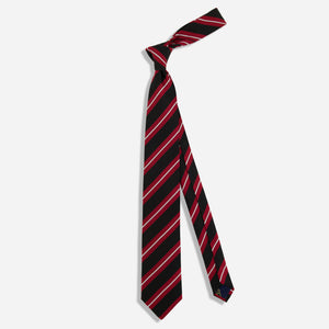 Alma Mater Heritage Stripe Crimson Tie alternated image 1