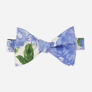 Mumu Weddings - Cottage Floral Blue Bow Tie featured image