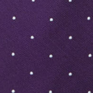 Dotted Report Plum Tie alternated image 2