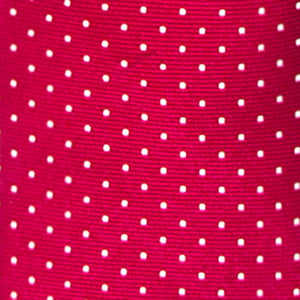 Mini Dots Red Tie alternated image 2